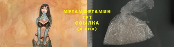 ГАЛЛЮЦИНОГЕННЫЕ ГРИБЫ Туринск